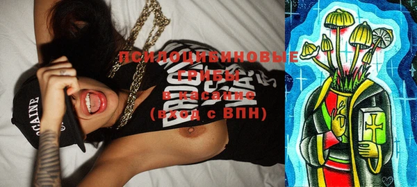 эйфоретик Баксан