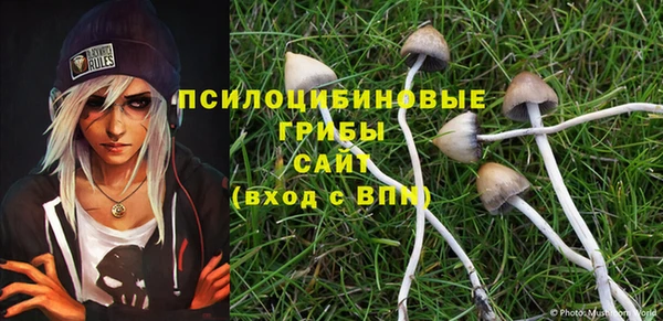 эйфоретик Баксан