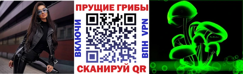 закладка  Лангепас  Псилоцибиновые грибы Magic Shrooms 